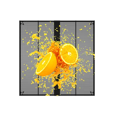 Transparent LED Wall Rental